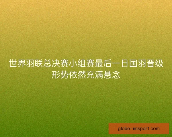 世界羽联总决赛小组赛最后一日国羽晋级形势依然充满悬念